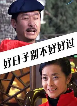 好日子别不好好过 海报