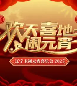 2025辽宁卫视元宵晚会 海报