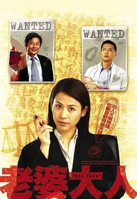 老婆大人 海报