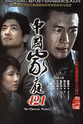 中国家庭421 海报