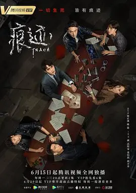 《痕迹》：一场关于记忆与身份的追寻之旅，悬疑背后的人性拷问
