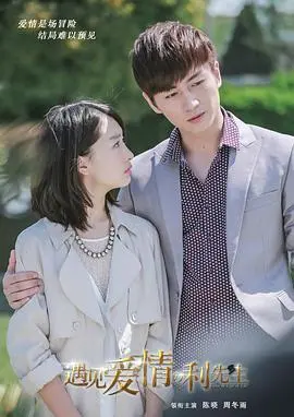 遇见爱情的利先生：当浪漫邂逅现实，一段曲折却动人的寻爱之旅
